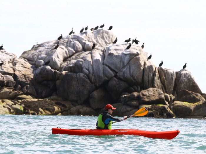 Dalkey Kayaking Classes, Tours and Trips Kayaking.ie