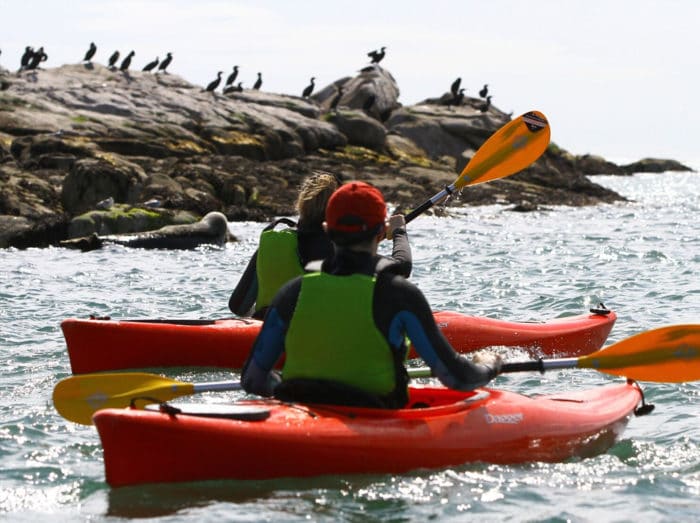Dalkey Kayaking Classes, Tours and Trips Kayaking.ie