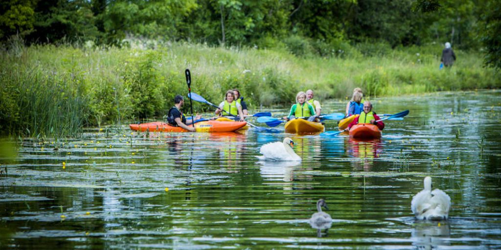 Learn to Kayak Weekend Courses